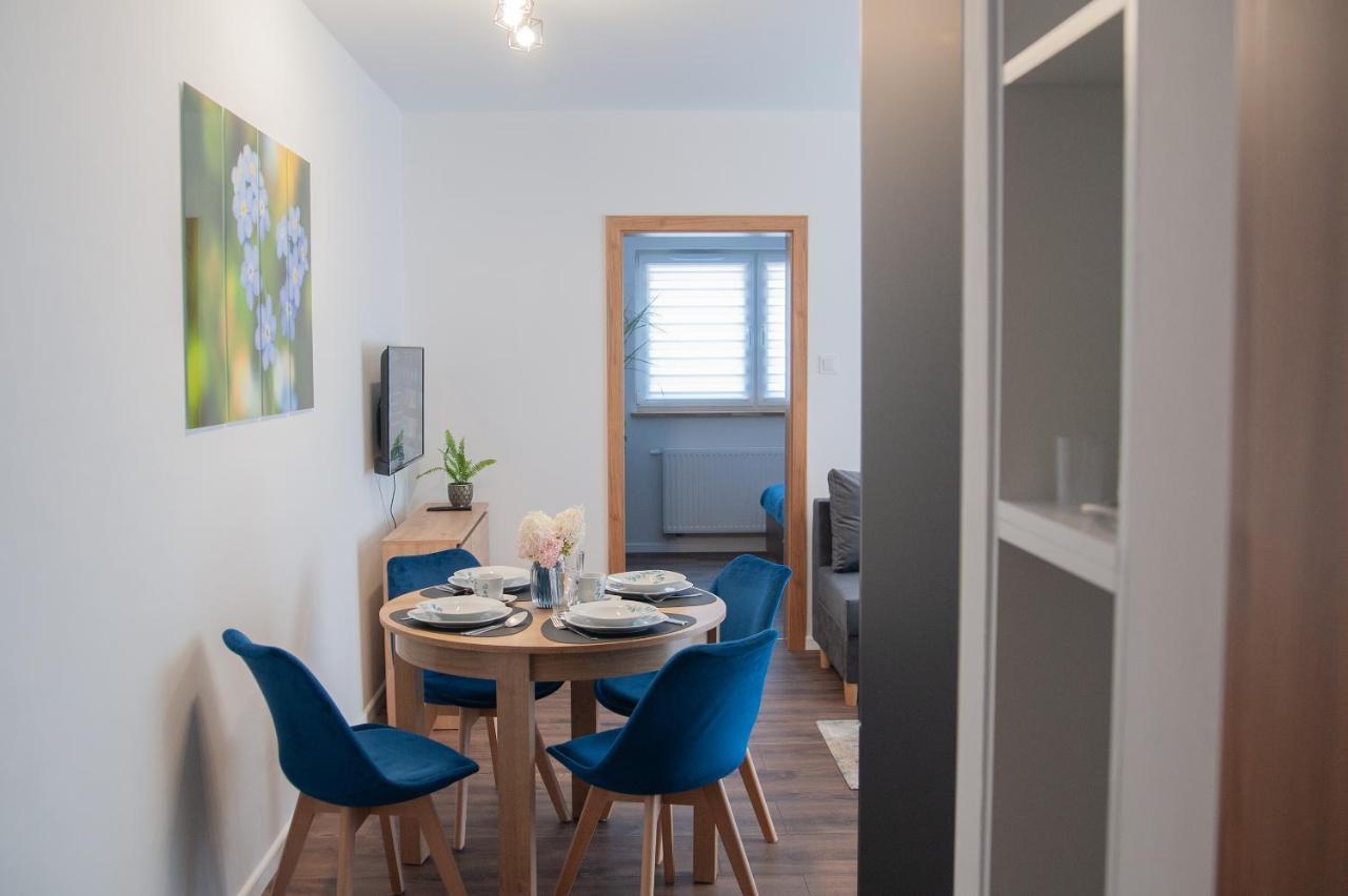Apartament Apartament Niezapominajka Warmbrunn Zewnętrze zdjęcie