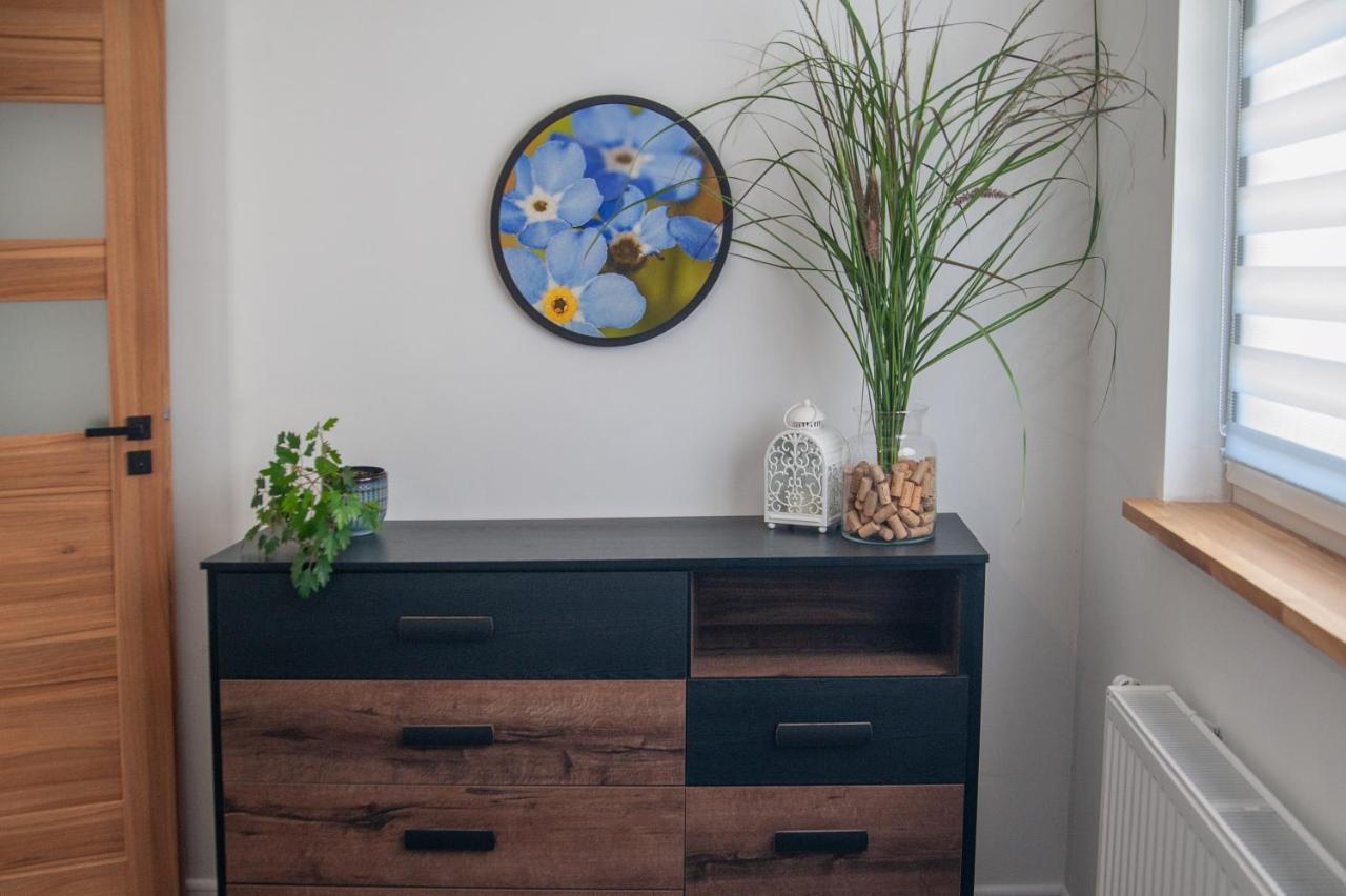 Apartament Apartament Niezapominajka Warmbrunn Zewnętrze zdjęcie